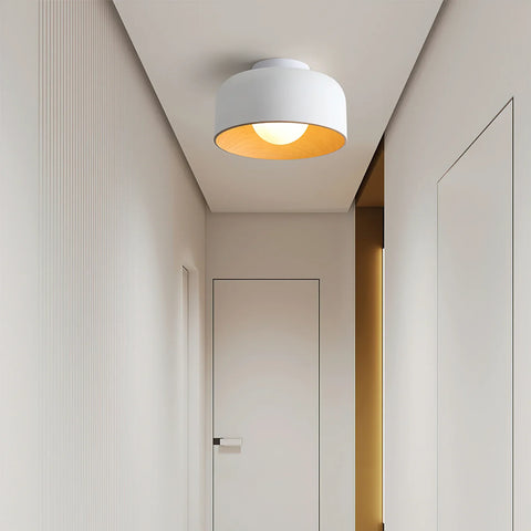 Lumosphere Ceiling Light - NexioPick