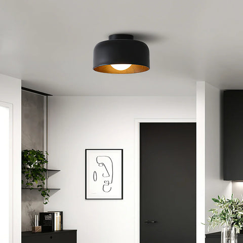 Lumosphere Ceiling Light - NexioPick
