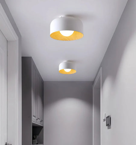 Lumosphere Ceiling Light - NexioPick