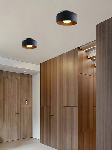 Lumosphere Ceiling Light - NexioPick