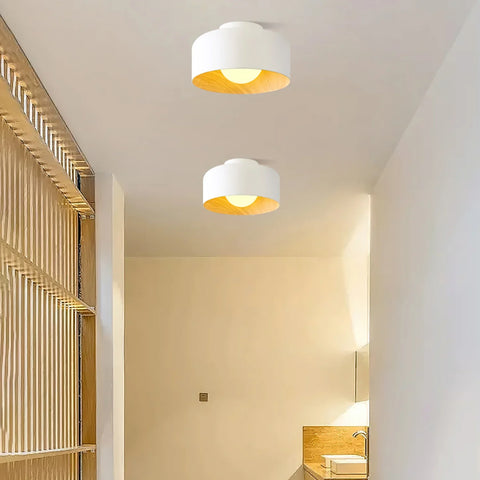 Lumosphere Ceiling Light - NexioPick