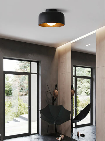 Lumosphere Ceiling Light - NexioPick