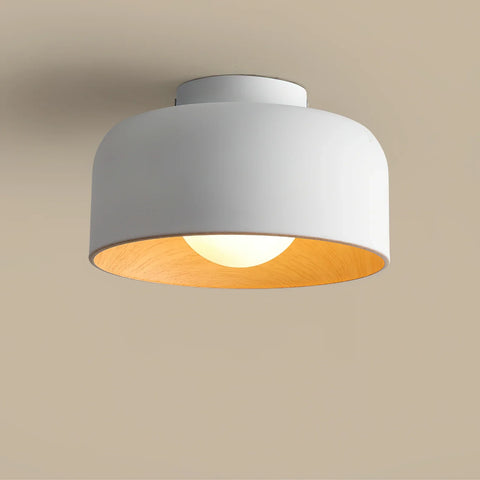 Lumosphere Ceiling Light - NexioPick