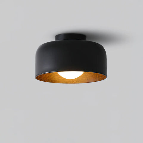 Lumosphere Ceiling Light - NexioPick