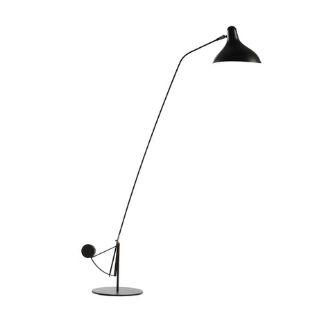 Mantis Arm Floor Lamp - NexioPick