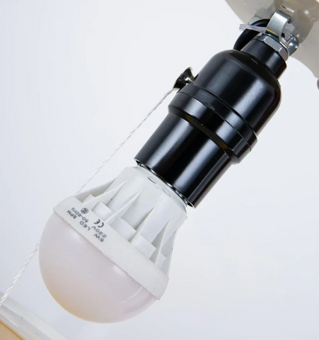 Memory Wall Light - NexioPick