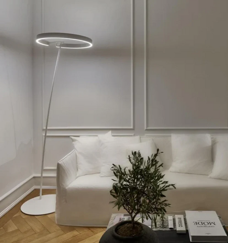 Ring Floor Light - NexioPick