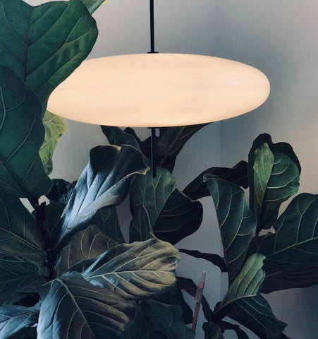 Model 2065 Pendant Lamp - NexioPick