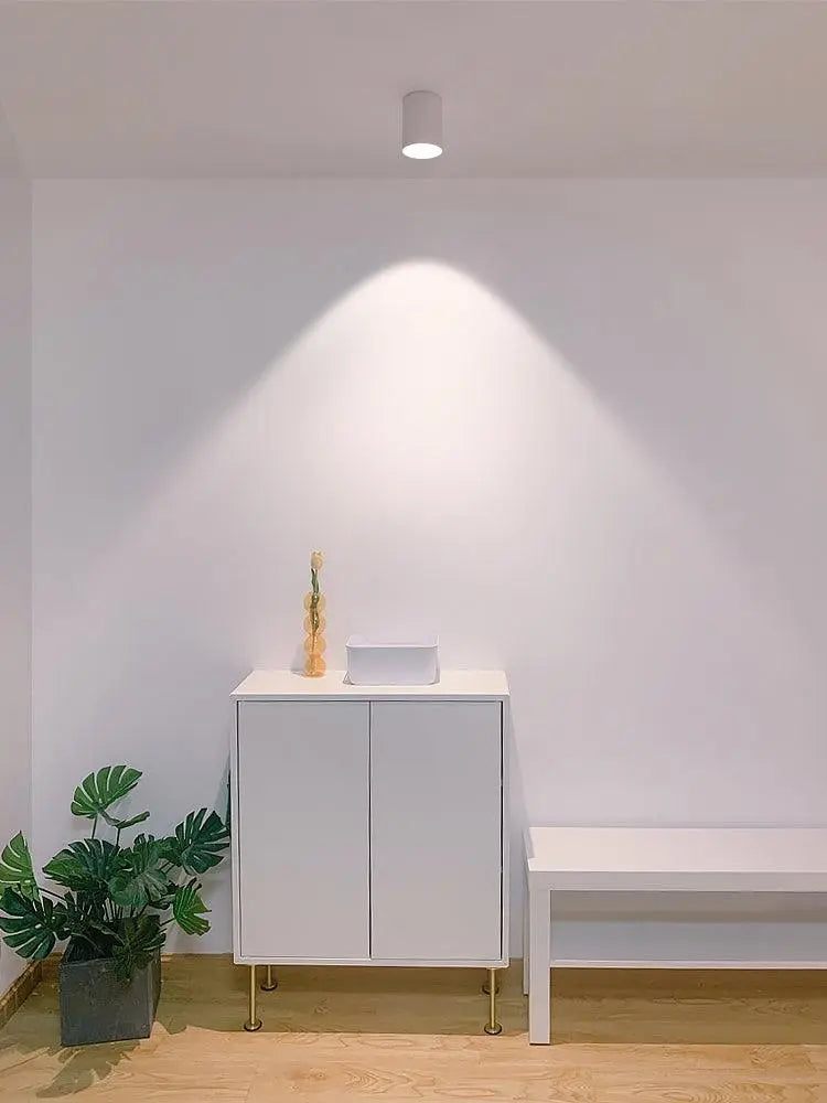 Modupoint Ceiling Light - NexioPick