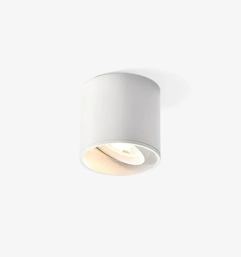 Modupoint Ceiling Light - NexioPick
