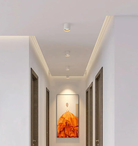 Modupoint Ceiling Light - NexioPick