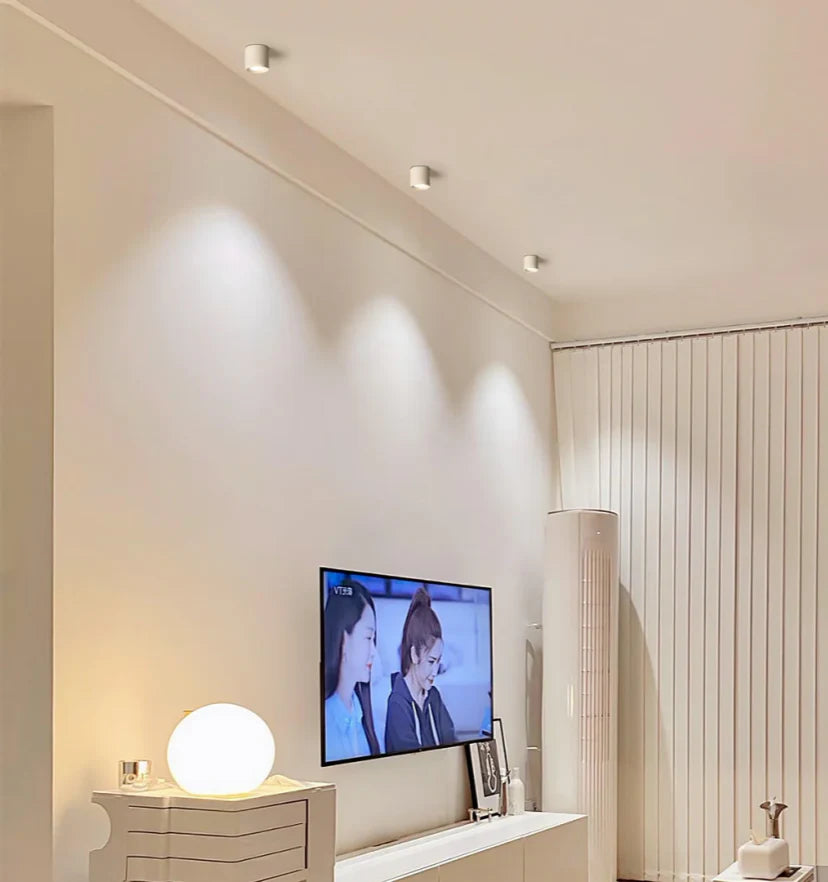 Modupoint Ceiling Light - NexioPick