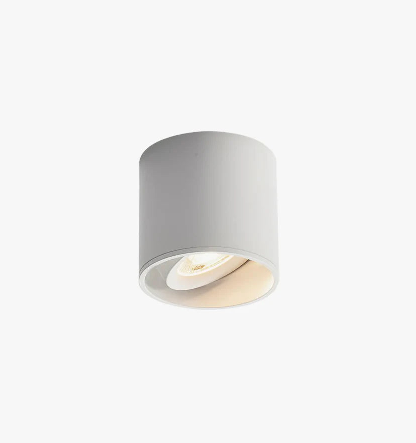 Modupoint Ceiling Light - NexioPick