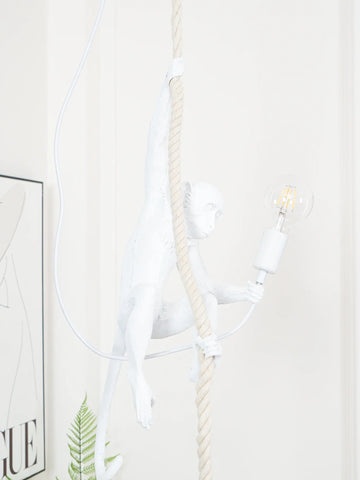 Monkey Pendnant Lamp - NexioPick