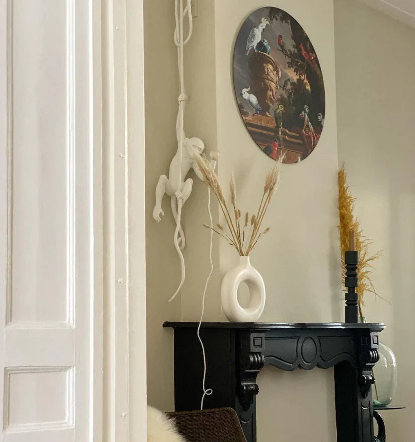 Monkey Pendnant Lamp - NexioPick