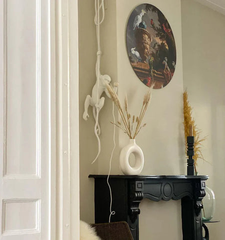 Monkey Pendnant Lamp - NexioPick