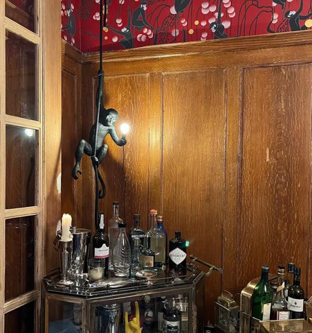 Monkey Pendnant Lamp - NexioPick