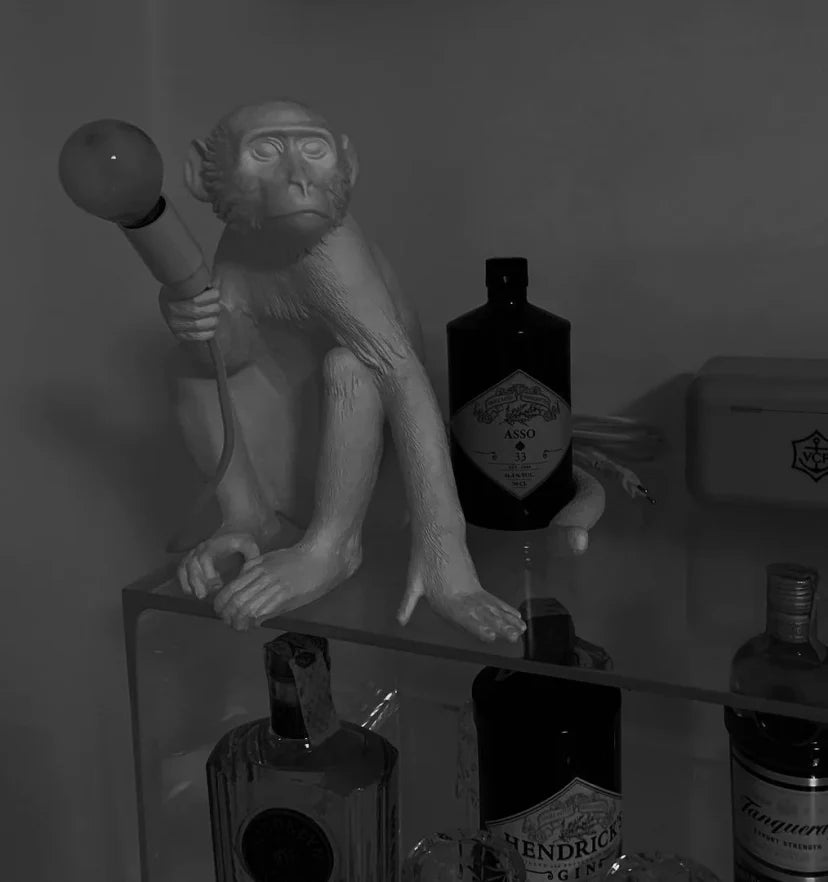 Monkey Table Lamp - NexioPick