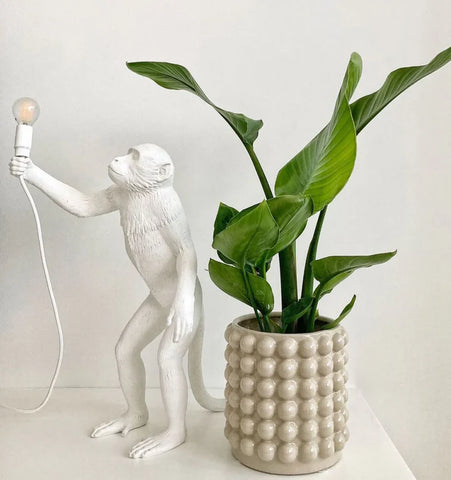 Monkey Table Lamp - NexioPick