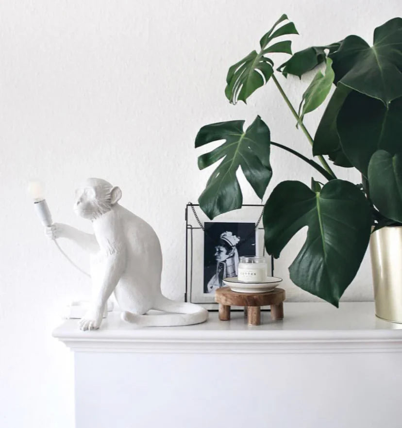 Monkey Table Lamp - NexioPick