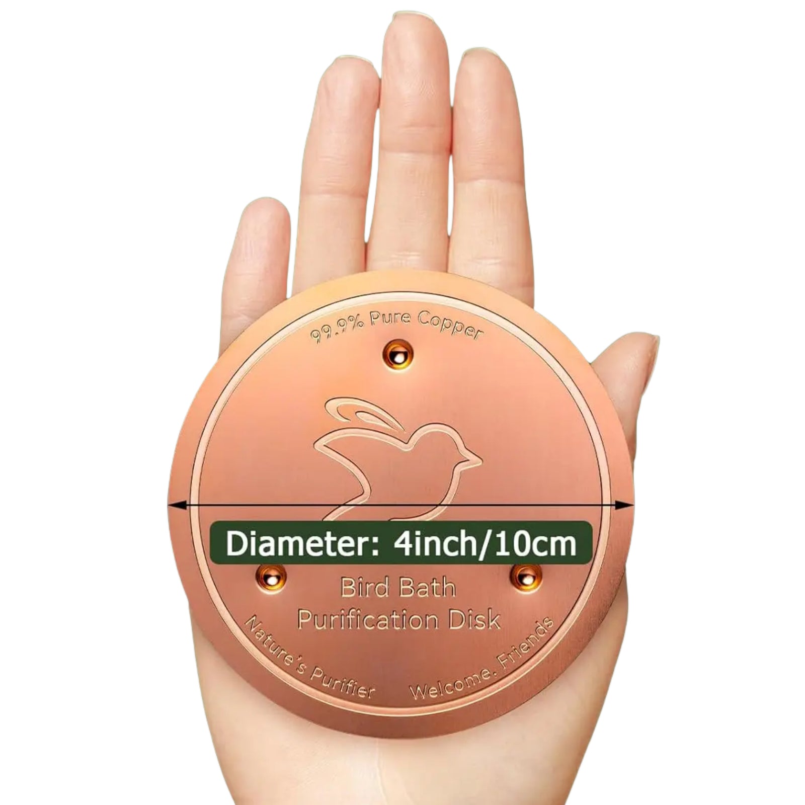 Pure Copper Bird Bath Cleaner Disk – All-Natural Water Purification for Outdoor Birdbaths