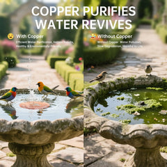 Pure Copper Bird Bath Cleaner Disk – All-Natural Water Purification for Outdoor Birdbaths