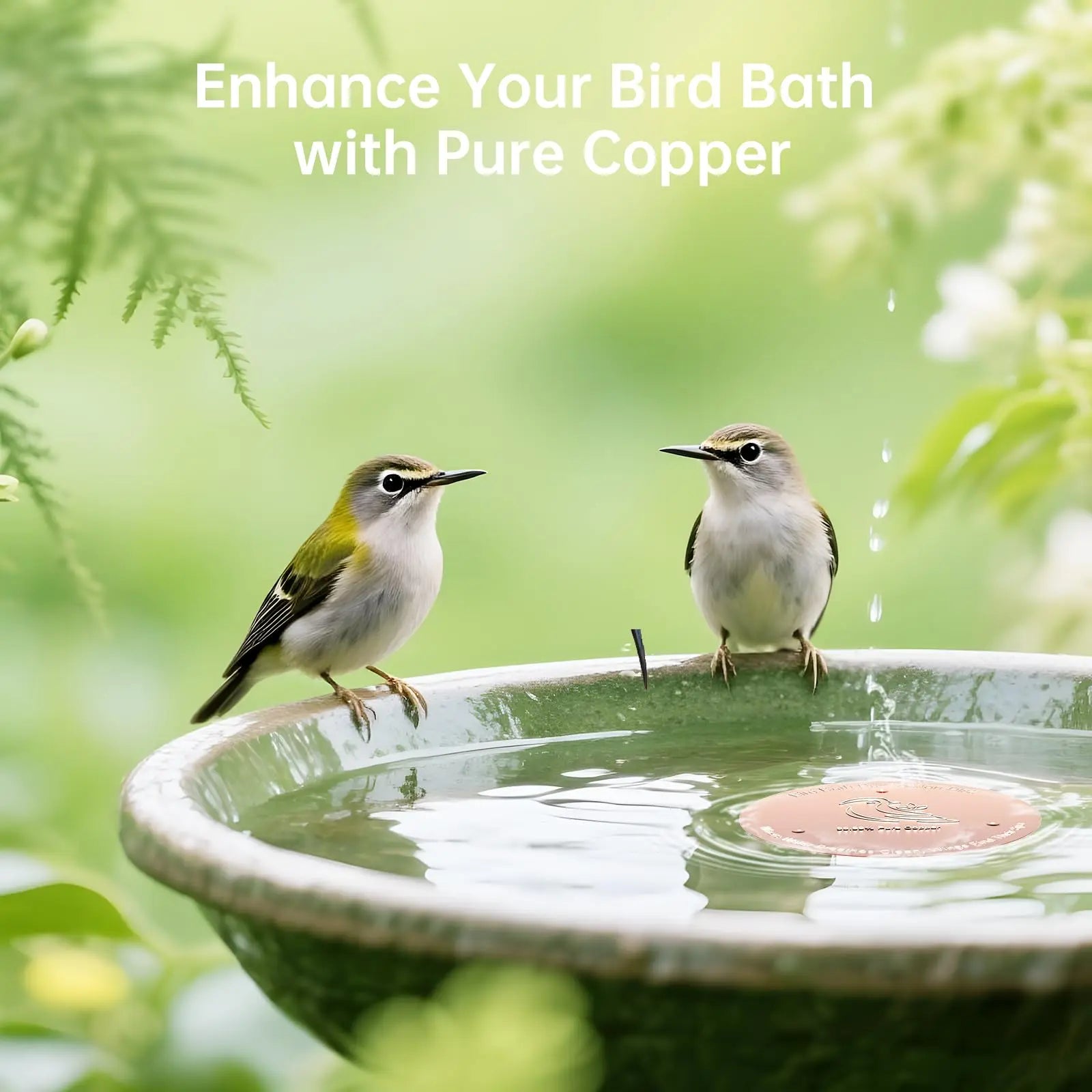 Pure Copper Bird Bath Cleaner Disk – All-Natural Water Purification for Outdoor Birdbaths