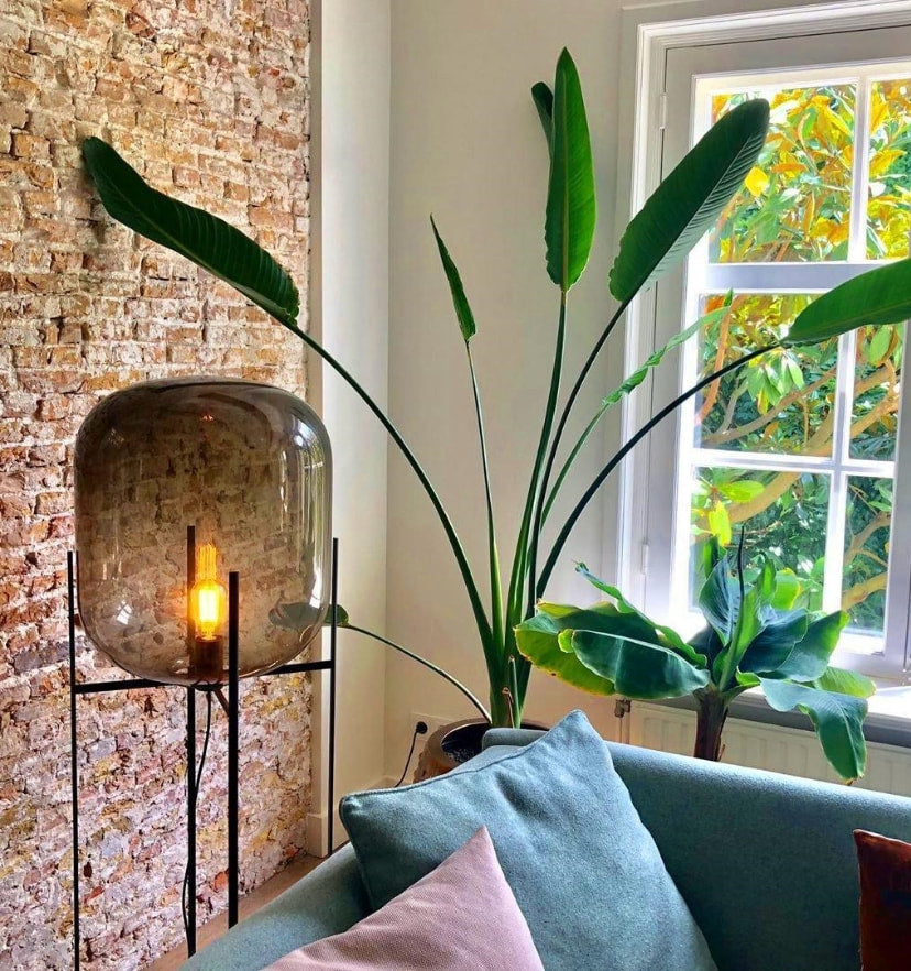 Oda Floor Lamp - NexioPick