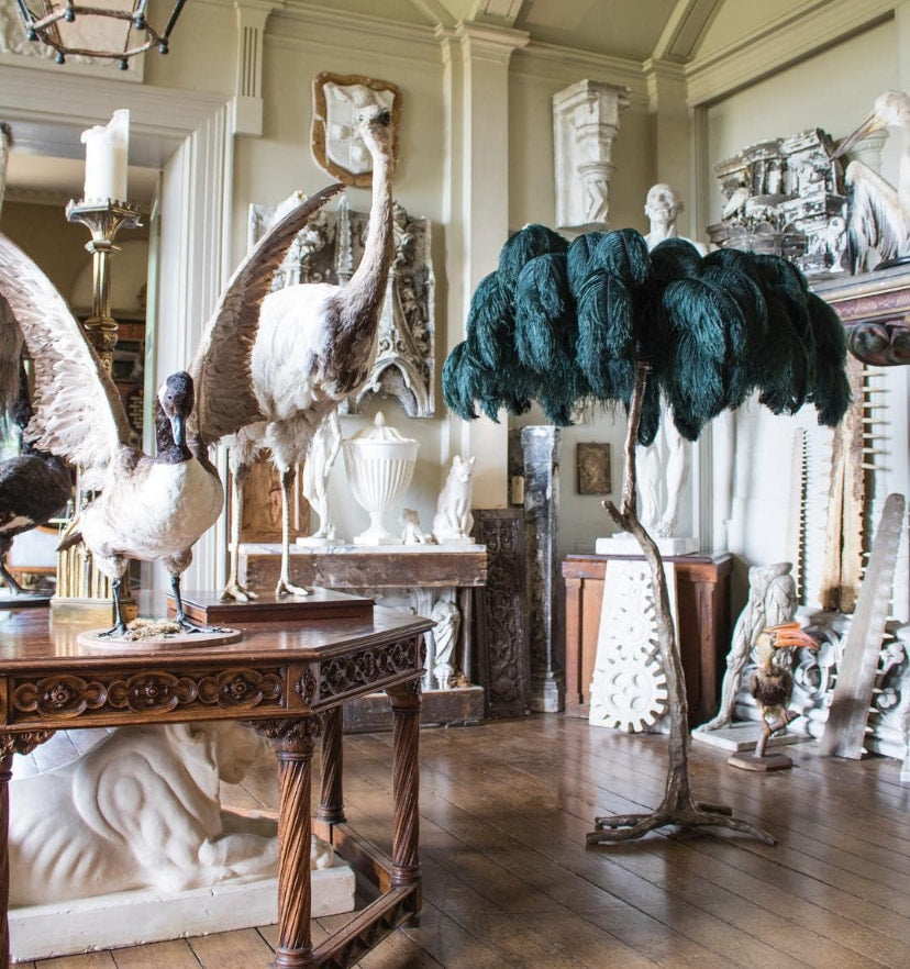 Ostrich Feather Brass Floor Lamp - NexioPick