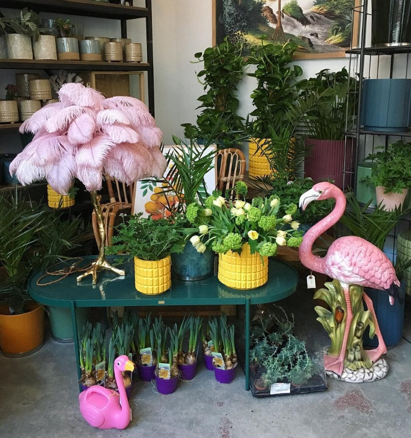 Ostrich Feather Table Lamp - NexioPick