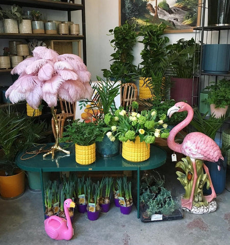 Ostrich Feather Table Lamp - NexioPick