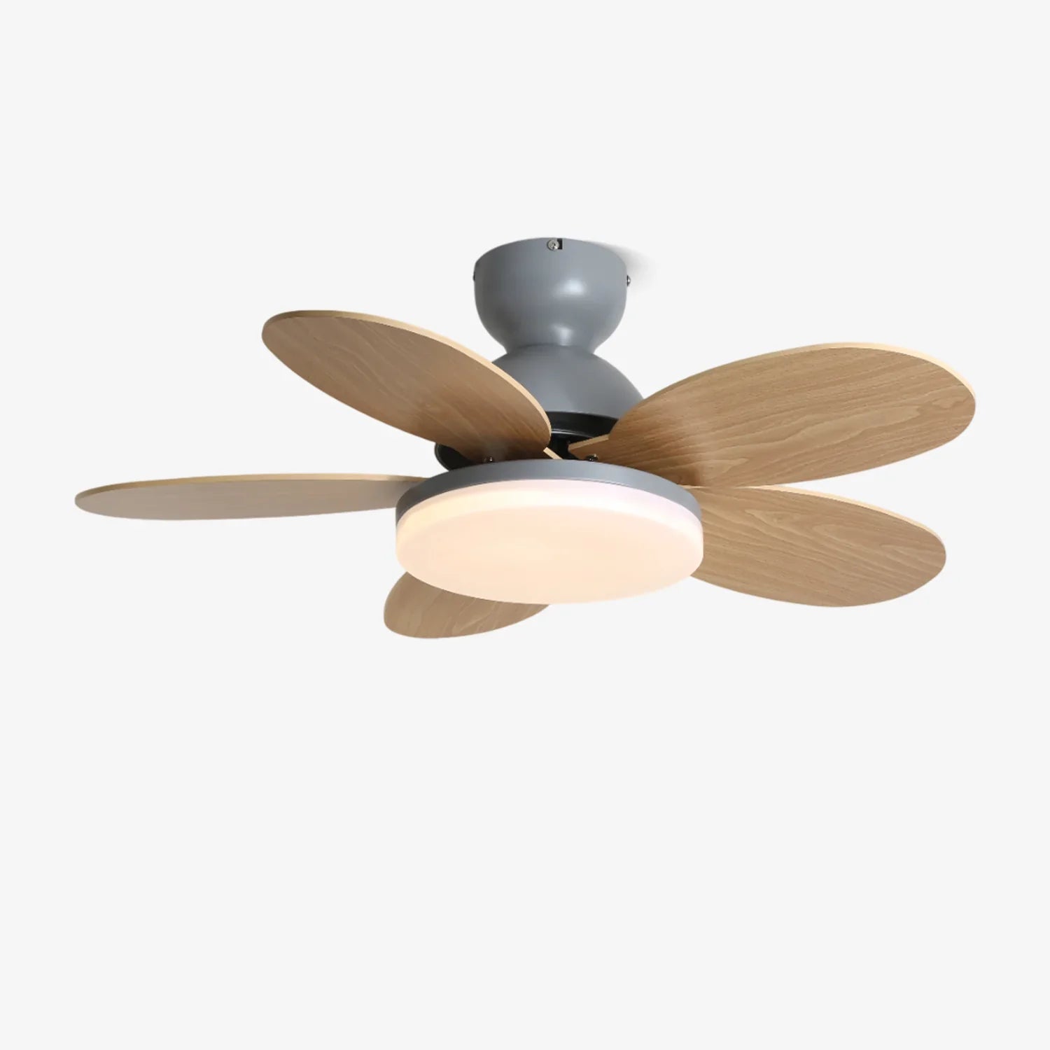 Petalo Ceiling Fan Light - NexioPick