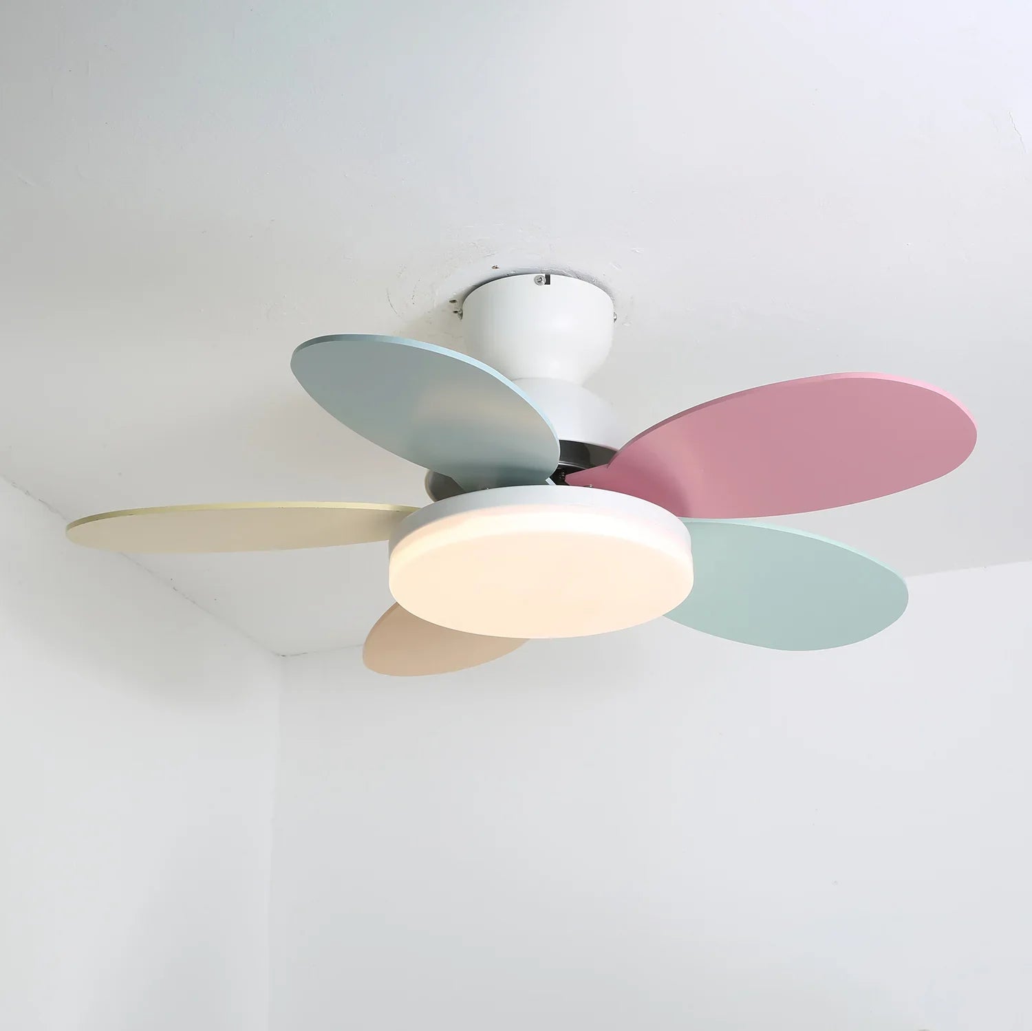 Petalo Ceiling Fan Light - NexioPick