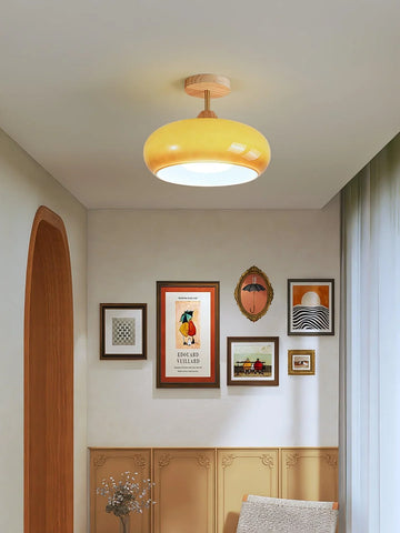 Plafonnier Ceiling Lamp - NexioPick