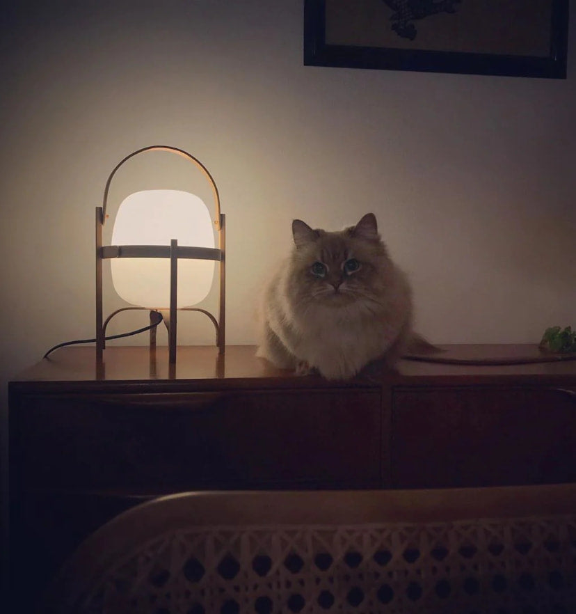 Portable Lantern Glass Table Lamp - NexioPick