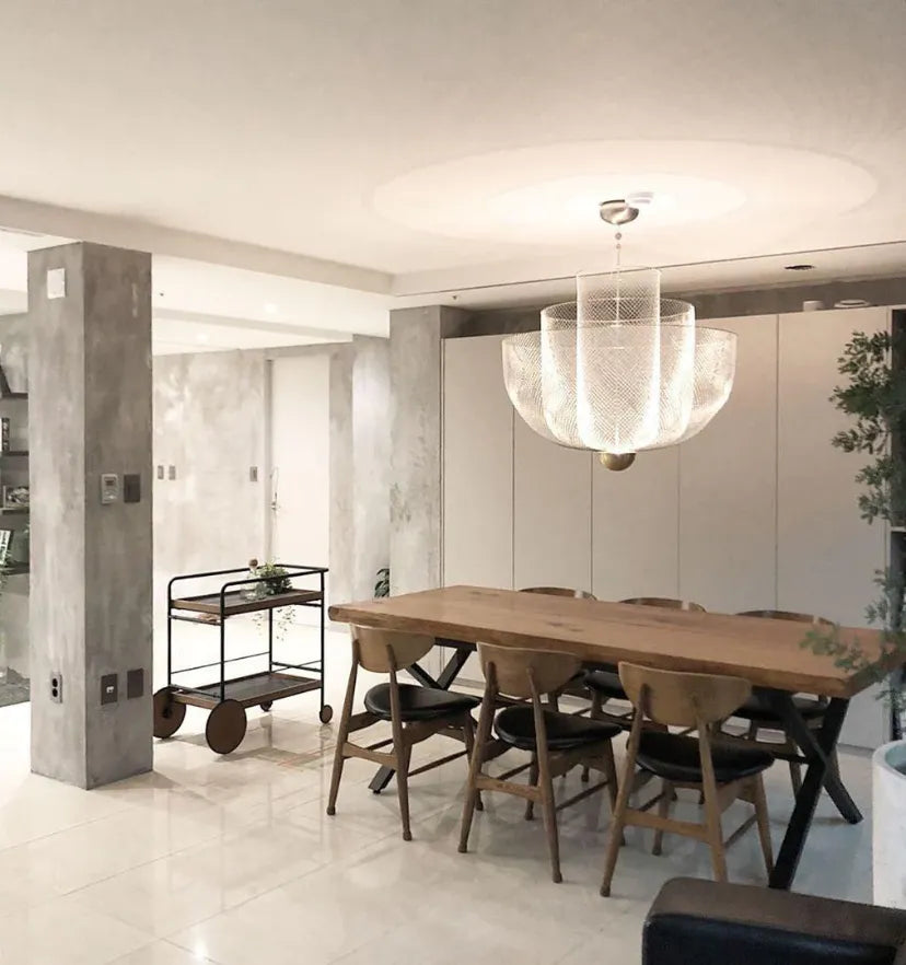 Radiant Wirework Pendant Lamp - NexioPick