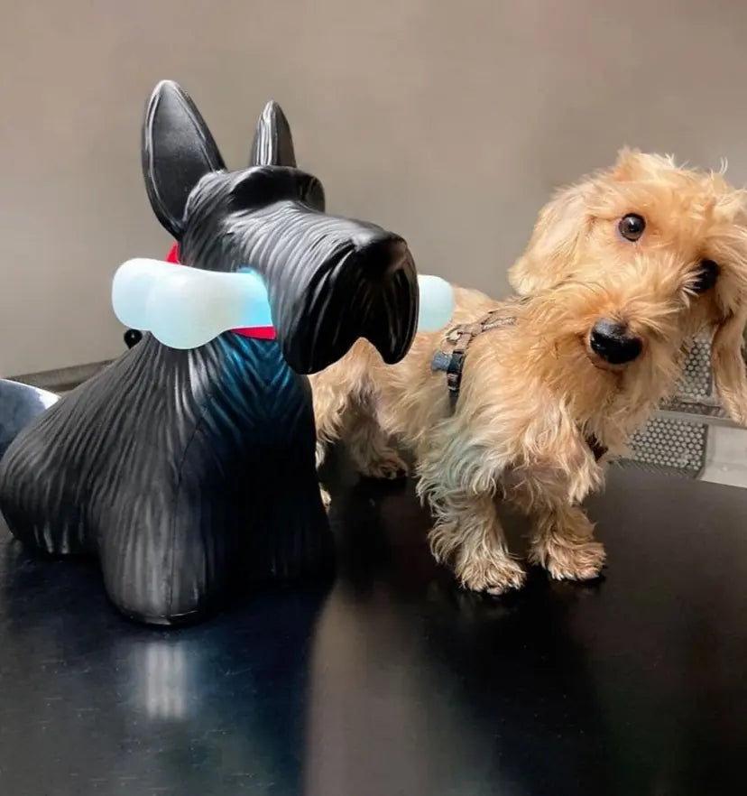 Scottie Table Lamp - NexioPick