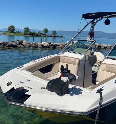 Scottie Table Lamp - NexioPick