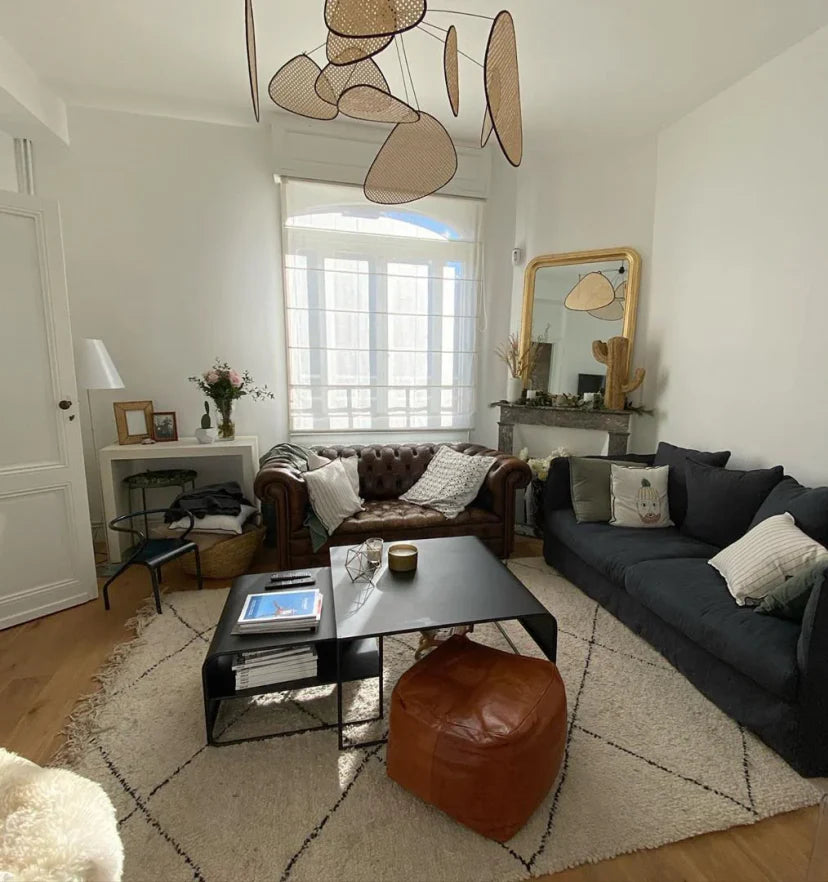 Screen Cannage Suspension - NexioPick