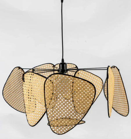 Screen Cannage Suspension - NexioPick