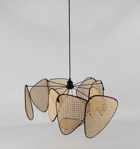 Screen Cannage Suspension - NexioPick