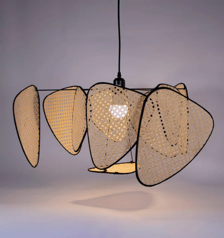 Screen Cannage Suspension - NexioPick