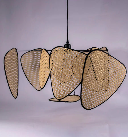 Screen Cannage Suspension - NexioPick