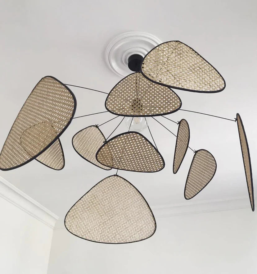 Screen Cannage Suspension - NexioPick