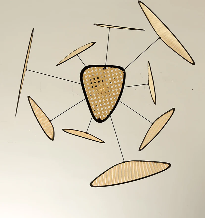 Screen Cannage Suspension - NexioPick