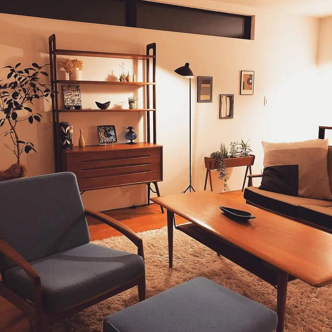 Serge Mouille Floor Lamp - NexioPick