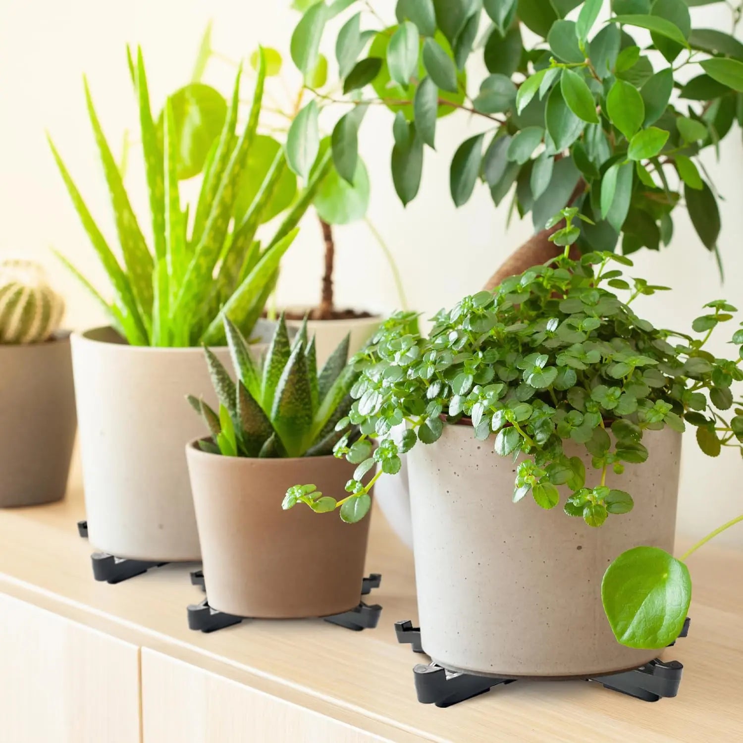 24-Pack Stackable Pot Feet – Adjustable Plant Stands for Outdoor Planters (Black)