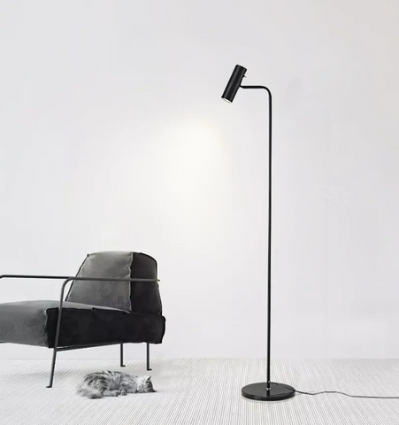 Torris Floor Lamp - NexioPick
