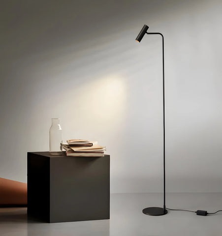 Torris Floor Lamp - NexioPick