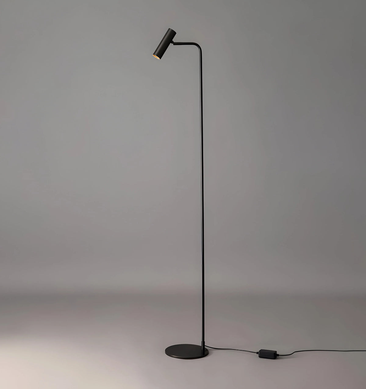 Torris Floor Lamp - NexioPick